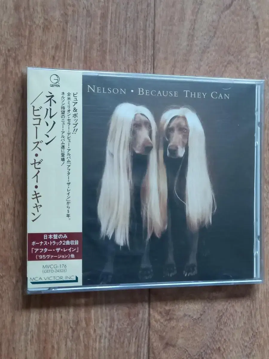 Nelson cd 넬슨 일본반 시디